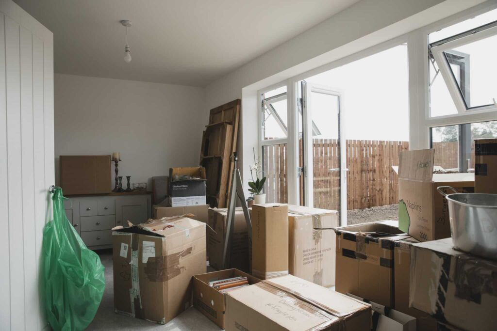 Rydning af Dodsbo Roskilde